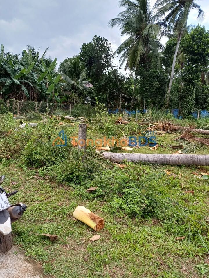 Đất nền 50m² Nguyễn Duy Trinh, Hoài Nhơn - Sổ đỏ, View kênh