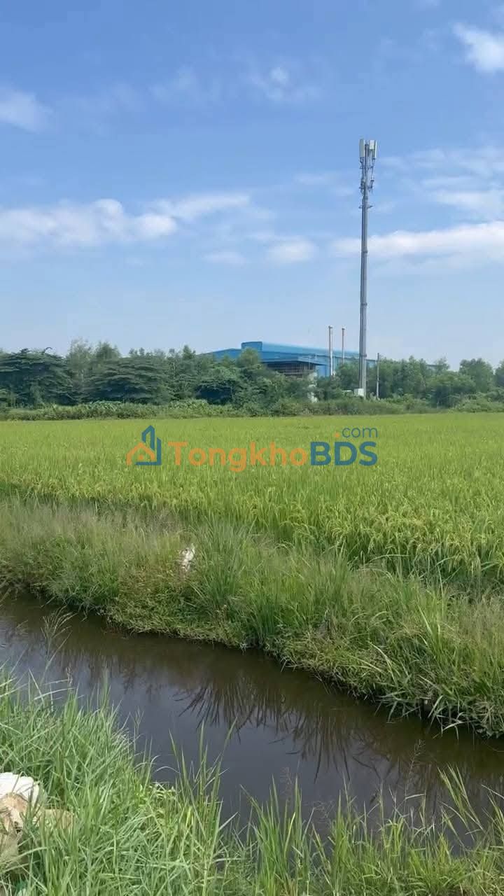 Đất Vườn Củ Chi 2774m² Mặt Tiền Rạch - Giá Đầu Tư 3.5 Triệu/m²