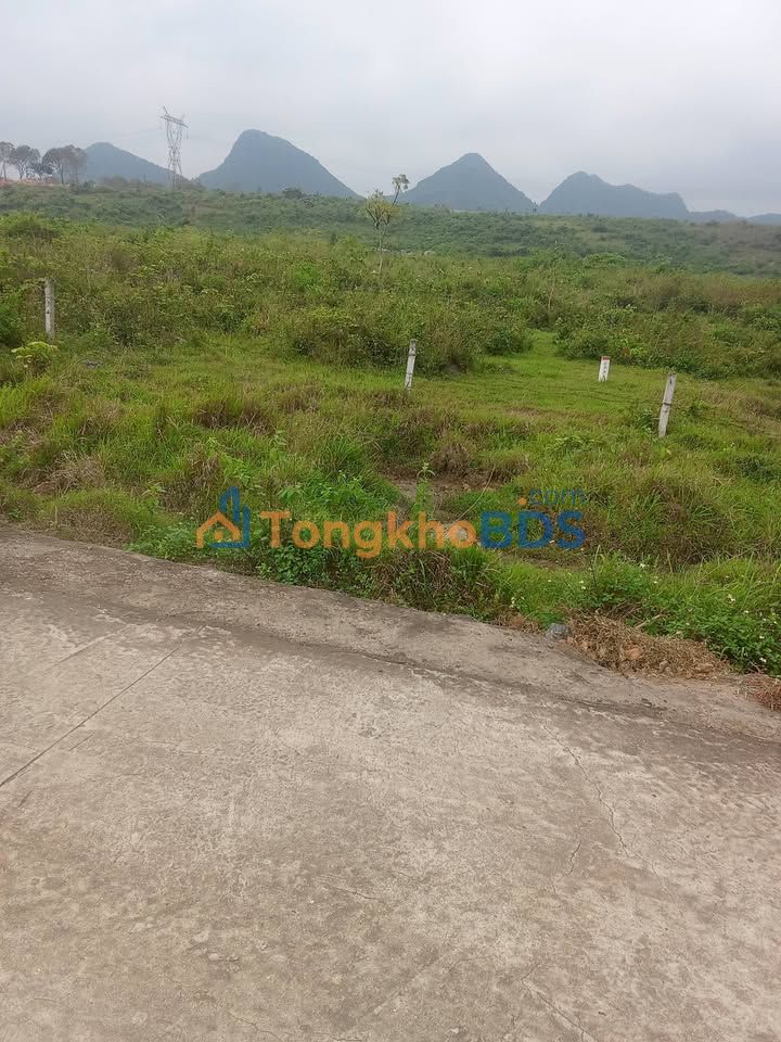 Bán 2ha Đất Vườn Ninh Bình - Mặt Tiền 135m Đường Lớn