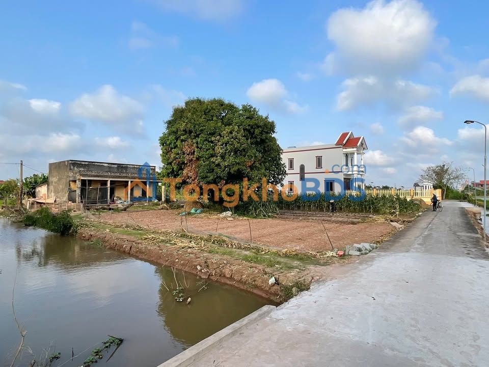 Đất nền Nam Định 1265m² - Sổ đỏ chính chủ, đầu tư sinh lời