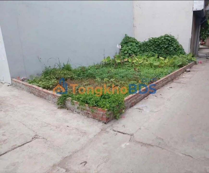 Bán Gấp Lô Góc 36m² Văn Trì, Bắc Từ Liêm - Ô tô Đỗ Cửa