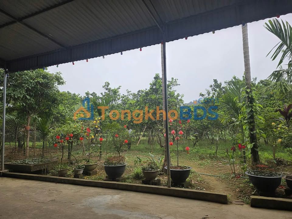 Đất nền 100m² tại Chi Nê, Lạc Thủy, Hòa Bình - Chỉ từ 4xx triệu