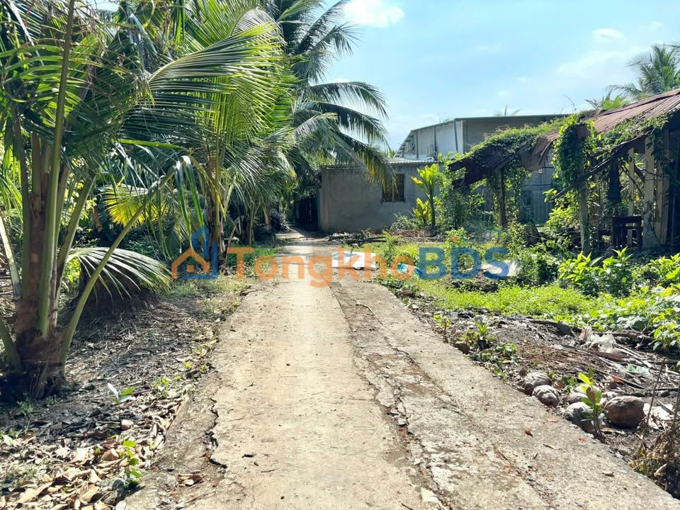 Đất Vườn 676m² Thổ Cư Xã Long Hưng, Châu Thành - Giá 590 Triệu