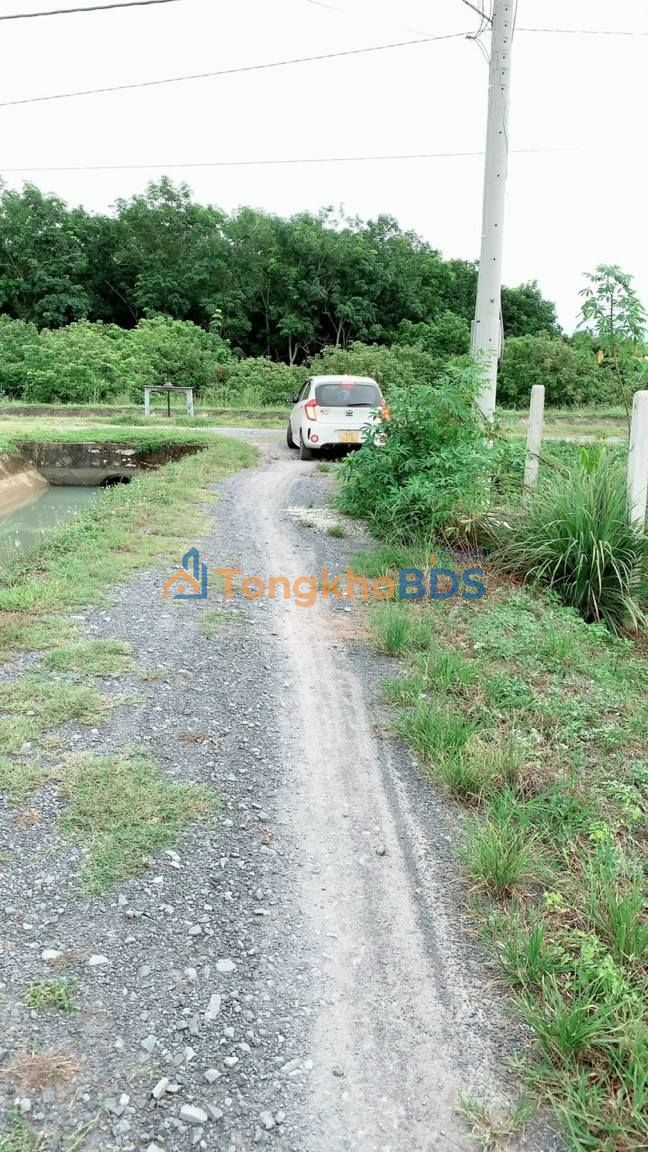 Đất Nền 5x32m Sổ Đỏ Chính Chủ - Trường Đông, Hòa Thành, Tây Ninh - Giá 450 Triệu