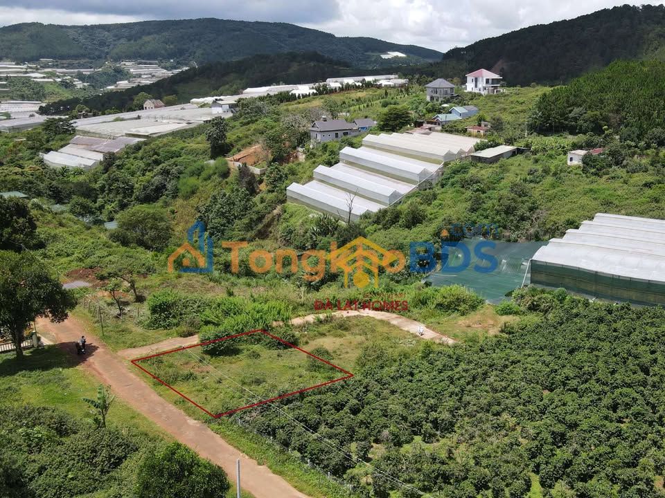 Đất Măng Lin Đà Lạt 236.5m² - 2 Mặt Tiền Rộng, Nở Hậu