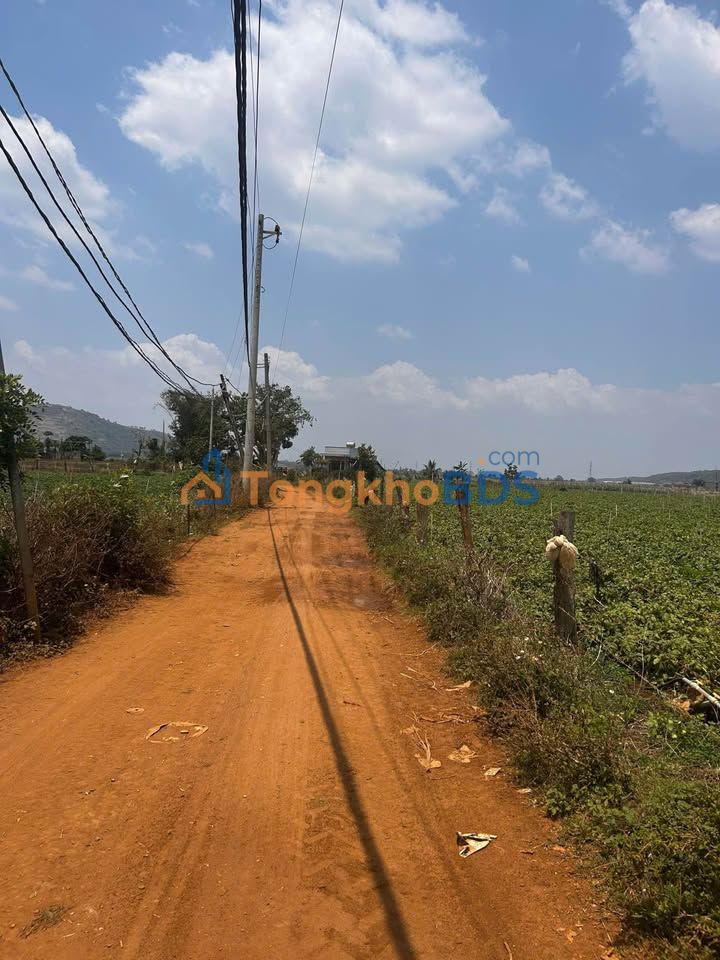 Bán Đất Nền 5000m² Mặt Tiền Đường Chính Đức Trọng, Lâm Đồng - Giá Đầu Tư 3.5 Tỷ