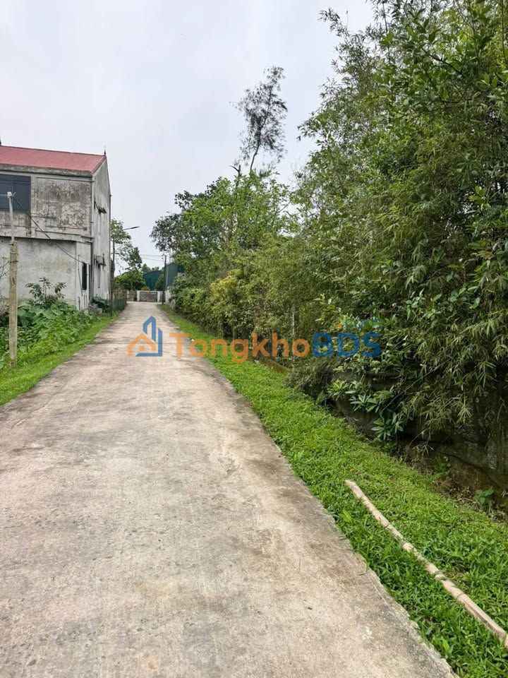 Đất Nền Cẩm Quang 360m² - Chính Chủ, Sổ Hồng Sẵn Sàng