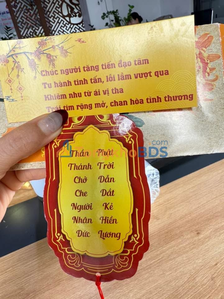 Đất nền Tân Phong (Văn Giang) 271m² - Sổ hồng sẵn, đầu tư sinh lời