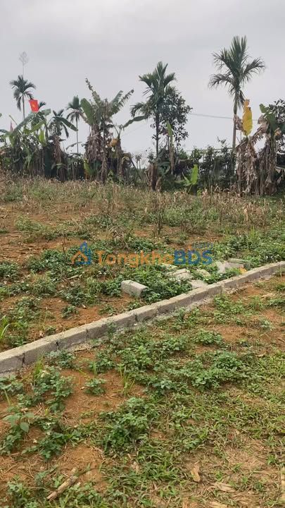 Đất Nền Hợp Phong Hòa Bình 1255m² Sổ Đỏ Chính Chủ - Cơ Hội Đầu Tư Hấp Dẫn