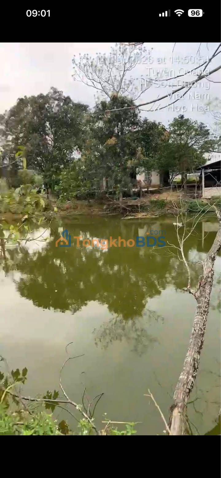 Đất Vườn 4000m² Tuyên Quang - Ao Cá, Cây Ăn Quả, Nhà Ở - Đầu Tư/Nghỉ Dưỡng