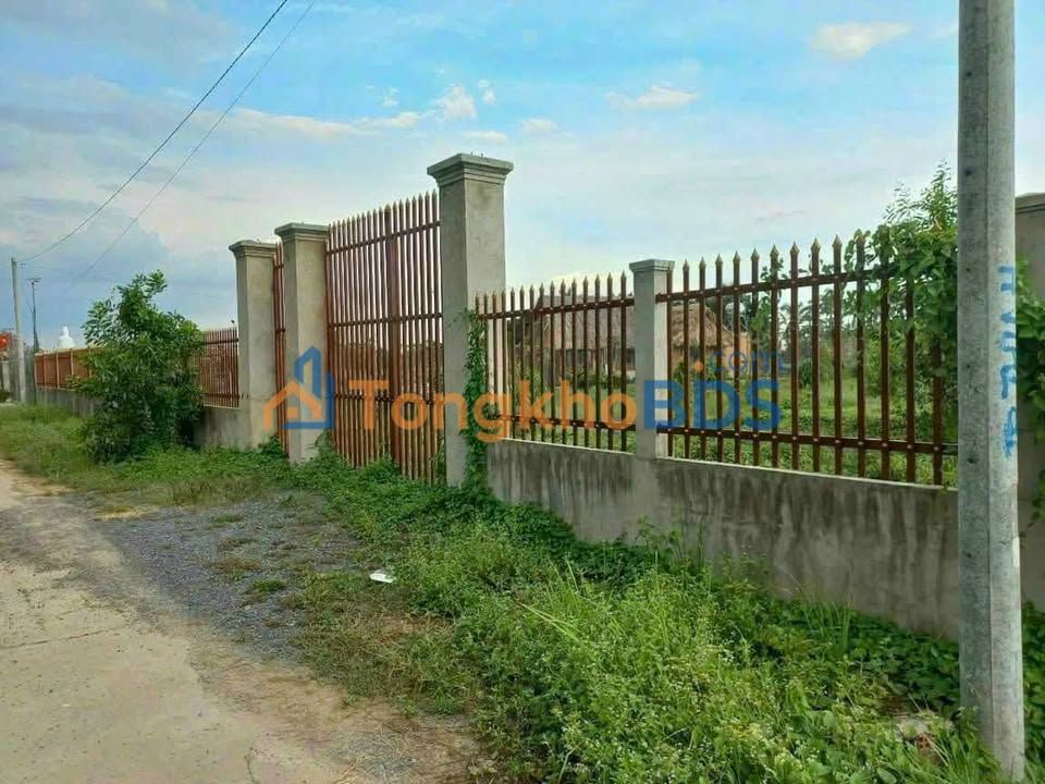 Đất Vườn Củ Chi 1039m² Mặt Tiền Đường 5m - Giá 3.5 Tỷ