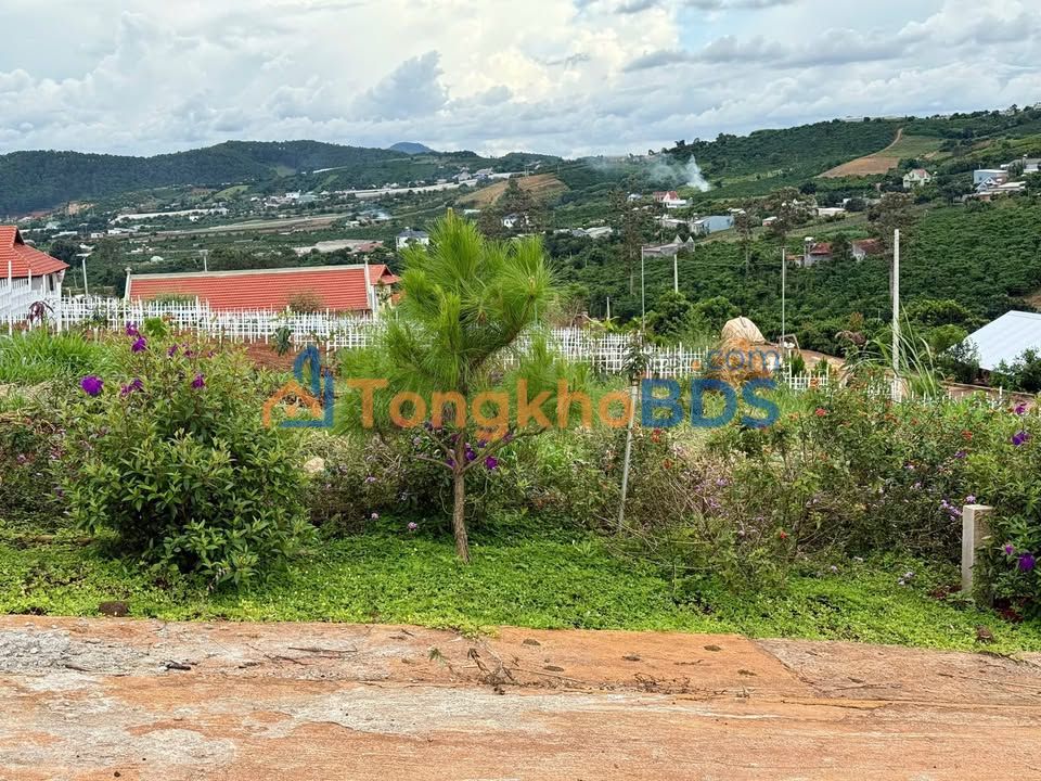 Đất Nền Nam Ban Lâm Hà 115m² - Sổ Sẵn, Giá Rẻ 550 Triệu