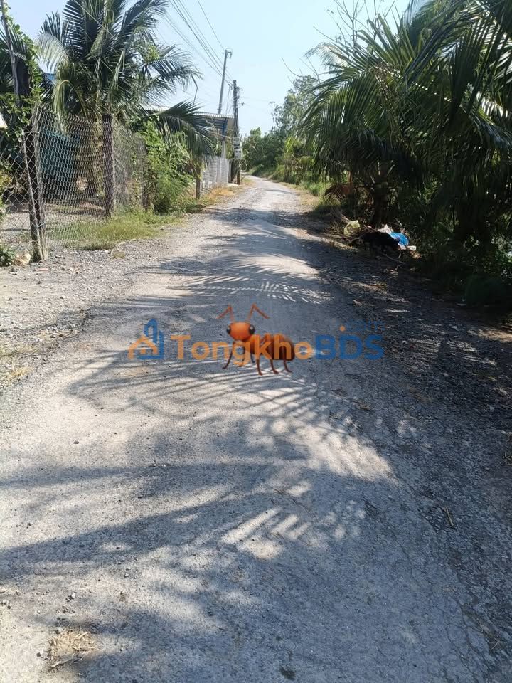 Đất nền mặt tiền nhựa Xóm Rẫy, Gò Công Đông - 370m² - Giá 650 triệu