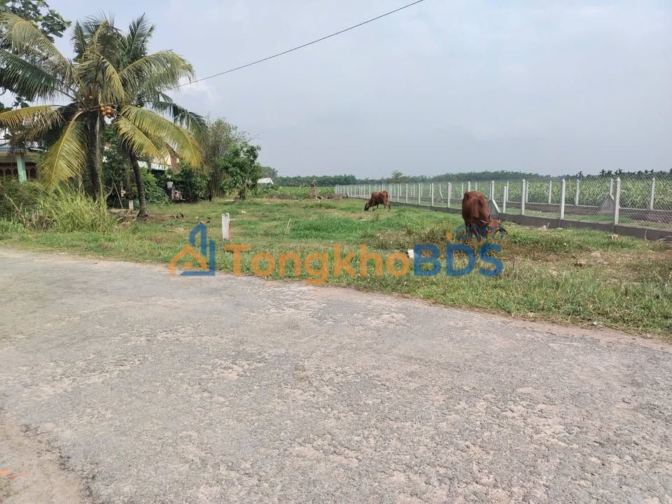 Đất Mặt Tiền Đường Nhựa Trảng Bàng 315m² - Sổ Hồng Sẵn Sàng