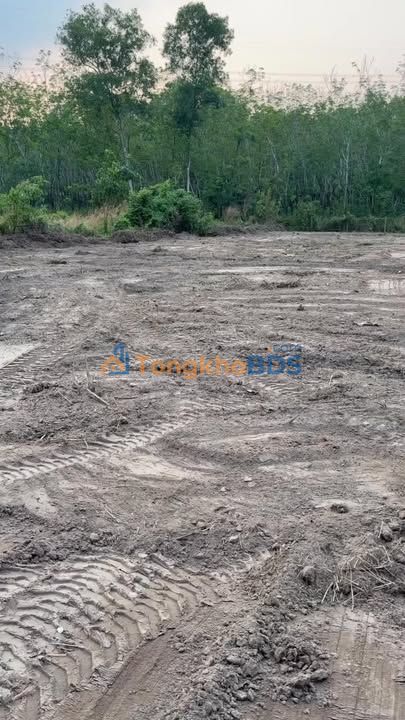 Đất Vườn An Điền 2562m² - Giá 4.9 Tỷ, Sẵn Sàng Làm Farm/Nhà Hàng Miệt Vườn