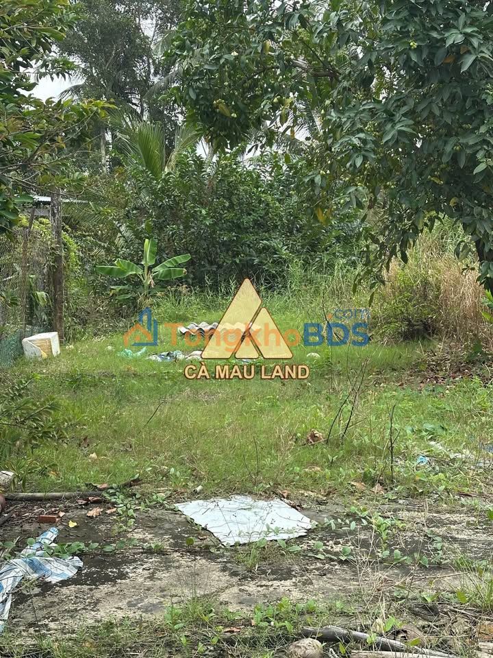 Nhà Mặt Tiền Cầu Cái Nhúc, Cà Mau - 109m² Sổ Hồng Riêng, Giá 1.1 Tỷ