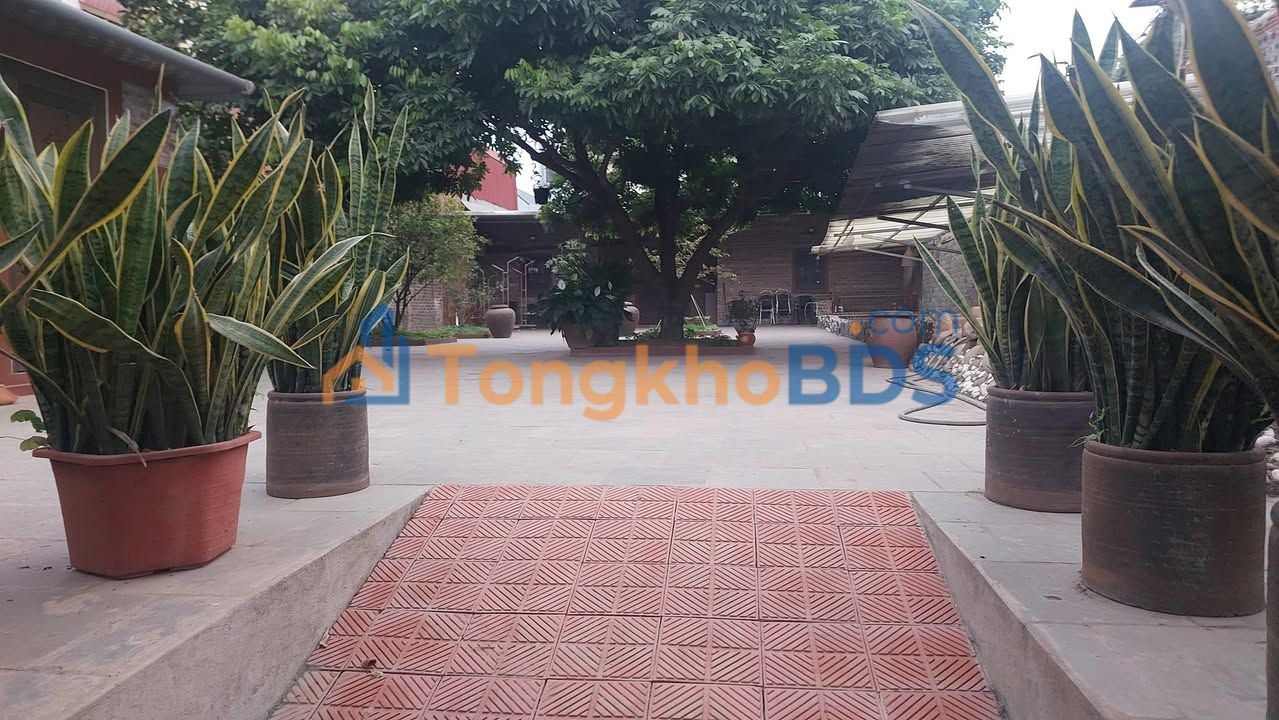 Đất Vĩnh Ngọc Đông Anh 170m² Lô Góc 2 Mặt Tiền - Tiềm Năng Lên Thổ Cư