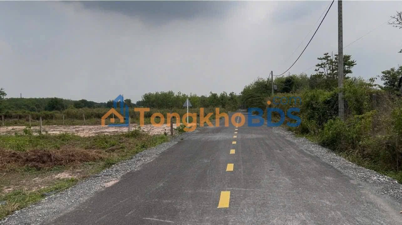 Đất Củ Chi 960m² (20x48m) Giá 2.5 Tỷ - Mặt Tiền Nguyễn Thị Rành