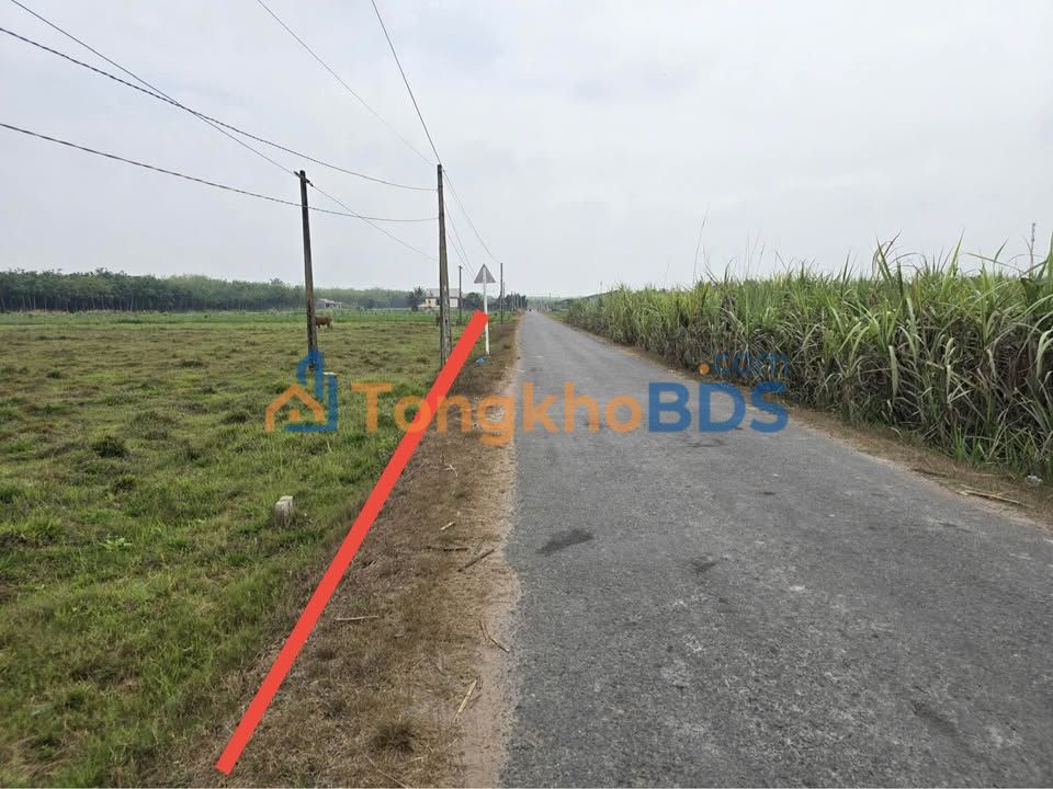 Đất Nền Tân Biên, Biên Hòa - 200m² Thổ Cư, Sổ Hồng Sẵn Sàng