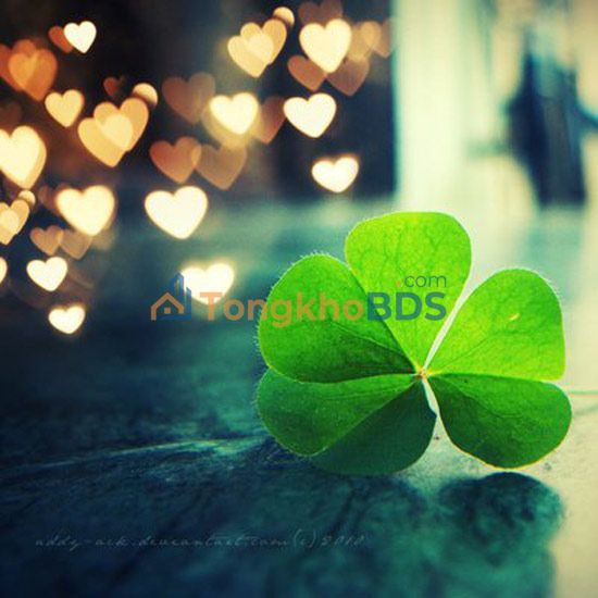 Nhà 3 Tầng Mới Xây Kiệt Huỳnh Ngọc Huệ, Đà Nẵng - 67m² Giá 5.05 Tỷ