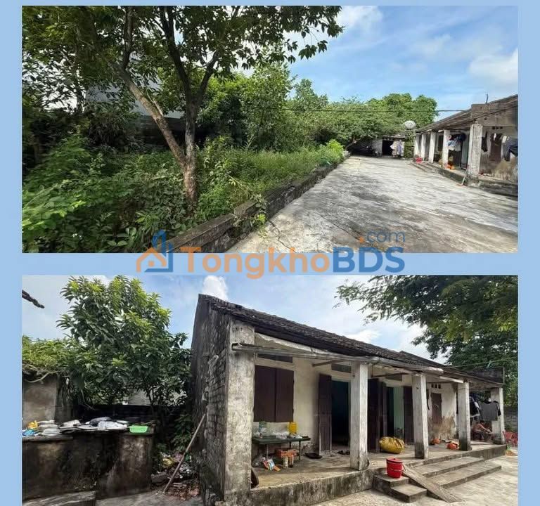 Nhà 500m² Phường Ninh Phong, Hoa Lư - Tặng Nhà Cấp 4, Ô Tô Đậu Sân, Giá 2 Tỷ