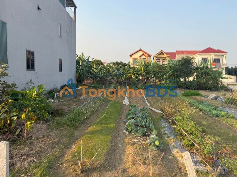 Đất Giãn Dân Đoàn Thượng, Gia Lộc 110m² - Sổ Đỏ Sẵn Sàng