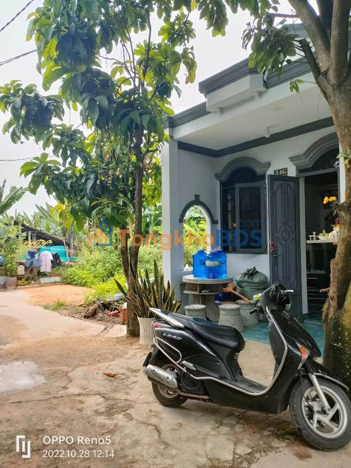 Nhà Sổ Hồng Riêng Tân Thạnh Đông, Củ Chi - 88m² Giá 1.65 Tỷ