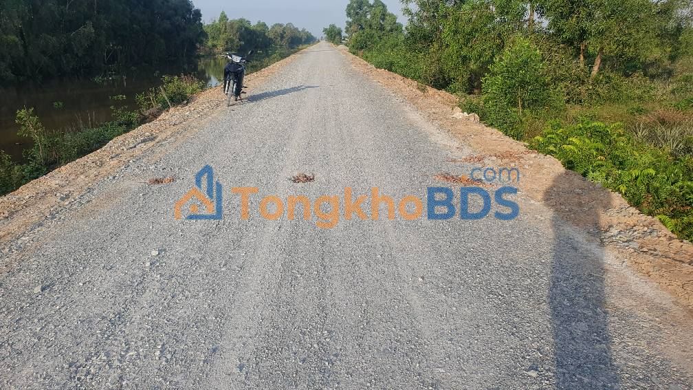 Đất Vườn Tiền Giang 13000m² Cập Đường Nhựa - Giá Đầu Tư 219 Triệu