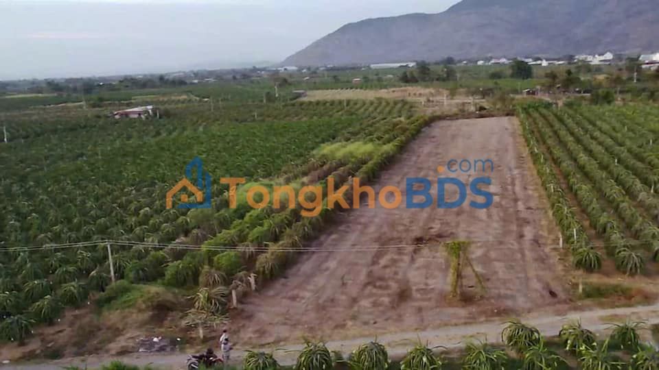 Bán Gấp Đất Vàng Bình Thuận 28.659m² - Sổ Đỏ Rõ Ràng