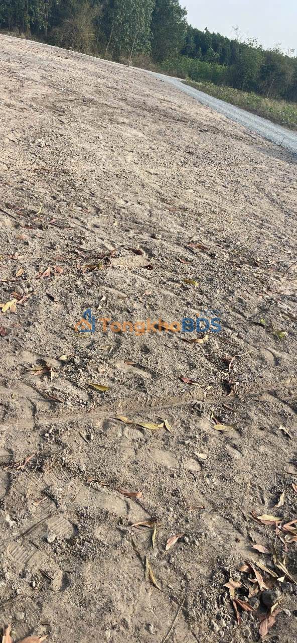 Đất Vĩnh Thanh Nhơn Trạch 135m² Sổ Đỏ Chính Chủ - Giá Đầu Tư 3.x Tỷ