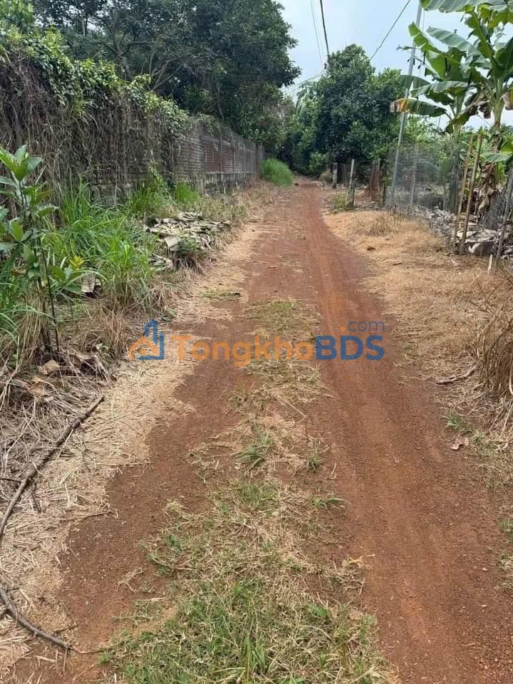 Bán Đất 3.8 Sào Mặt Tiền Võ Dõng, Thống Nhất – Sổ Riêng, Giá 2.55 Tỷ