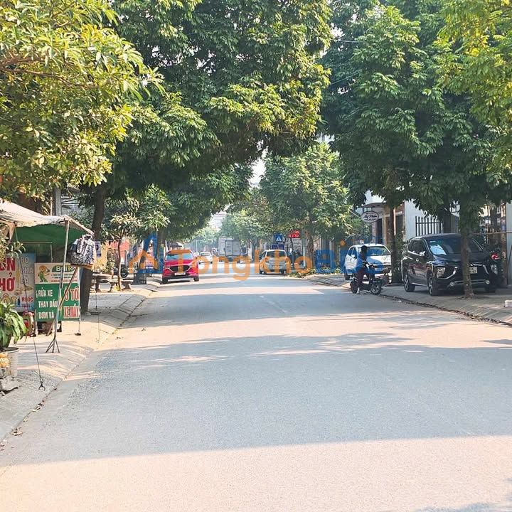 Đất Nền Việt Bắc - Quang Trung 100m² Giá 5 Tỷ - Kinh Doanh Hái Lộc!