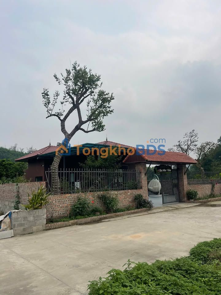 Bán đất T.Thái Nguyên 150m² mặt tiền rộng - Giá dưới 800 triệu