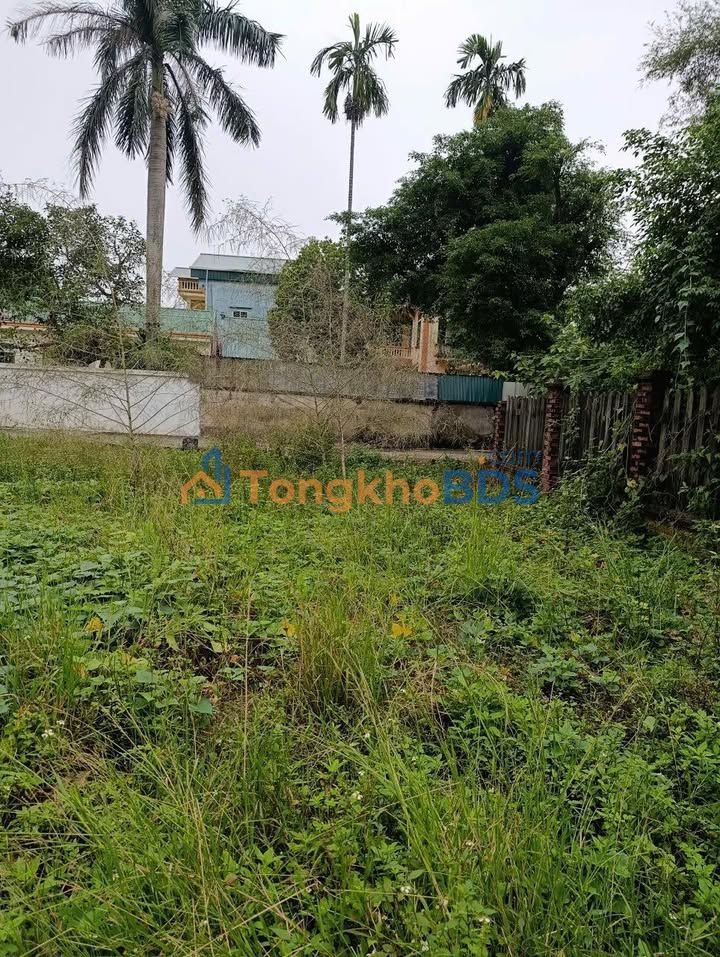 Bán Gấp Đất Nền 55m² Phường Vạn An, TP. Bắc Ninh - Sổ Đỏ Sẵn Sàng