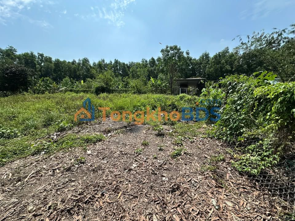 Đất Vườn 773m² Tân Túc Bình Chánh - Sổ Hồng Riêng, Giá Tốt 2.1 Tỷ