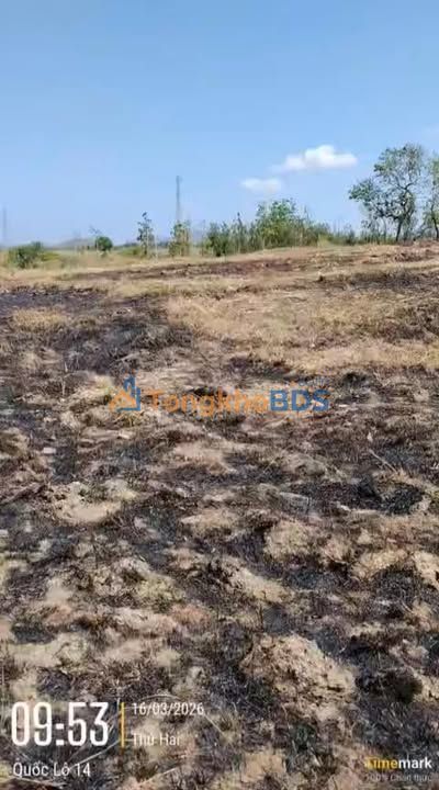 Bán Gấp Farm 1.8ha Đắk Lắk - Giá Đầu Tư 379 Triệu