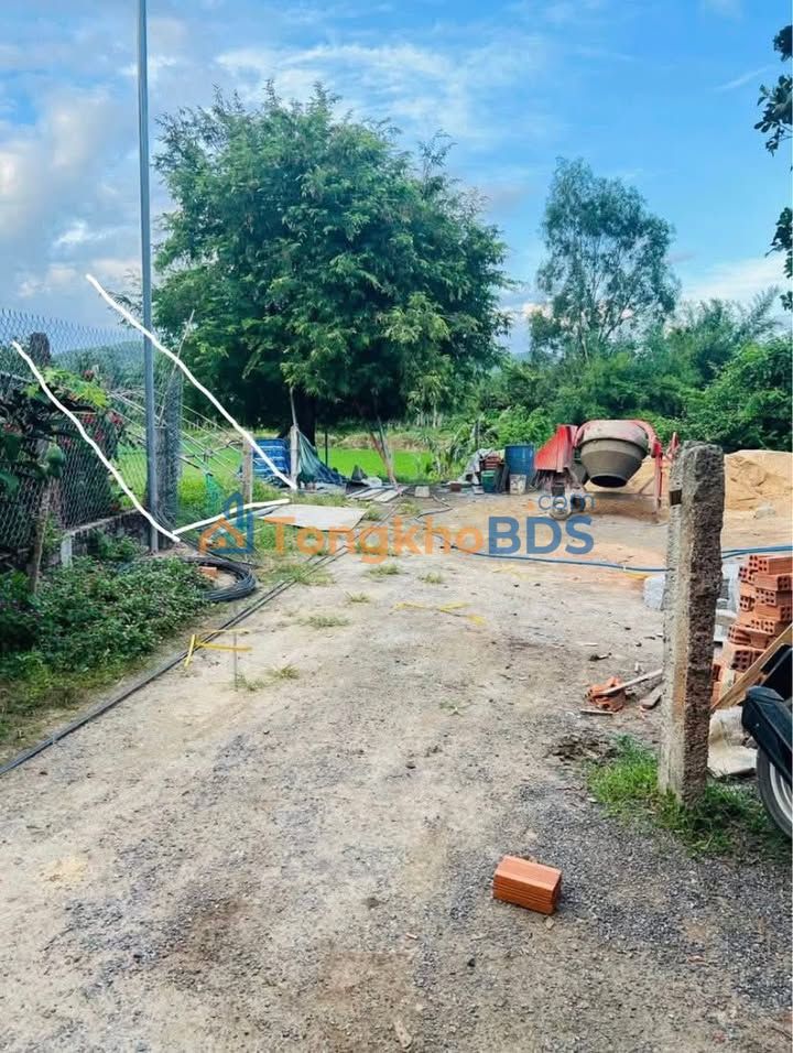 Bán gấp đất 240m² full thổ, đường betong 8m, Ninh Hòa - Giá 300 triệu