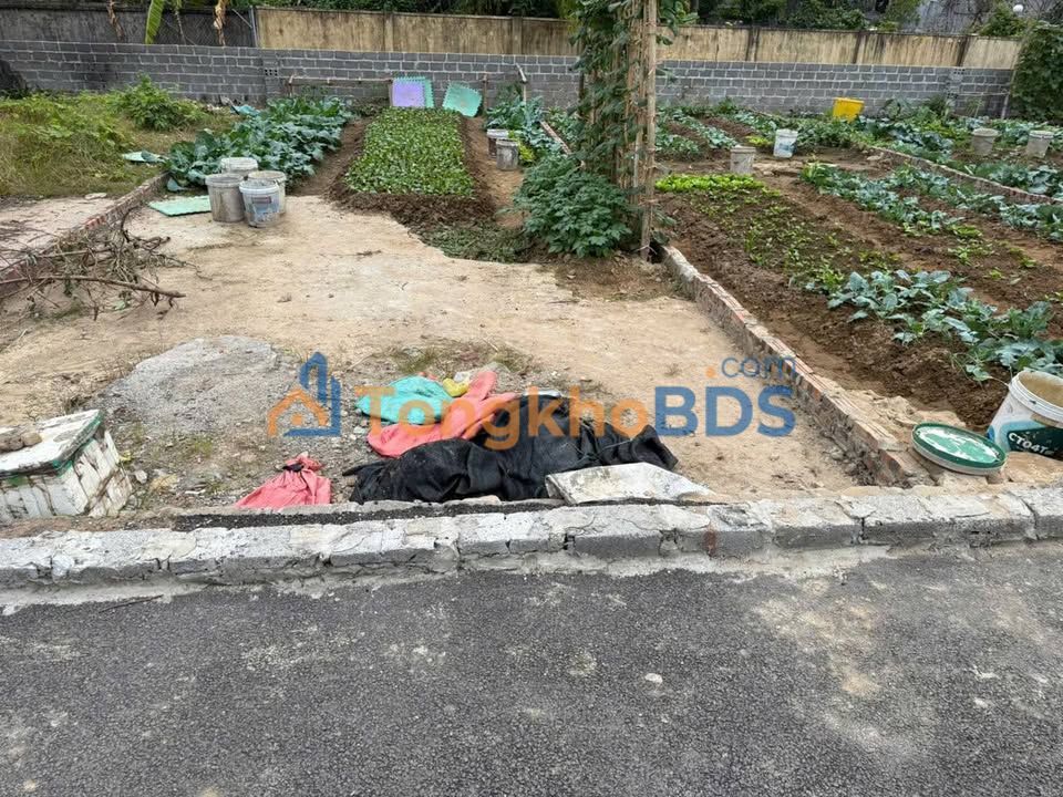 Đất nền Thanh Sơn, Kiến Thụy 68m² - Sổ đỏ sẵn sàng, đường ô tô