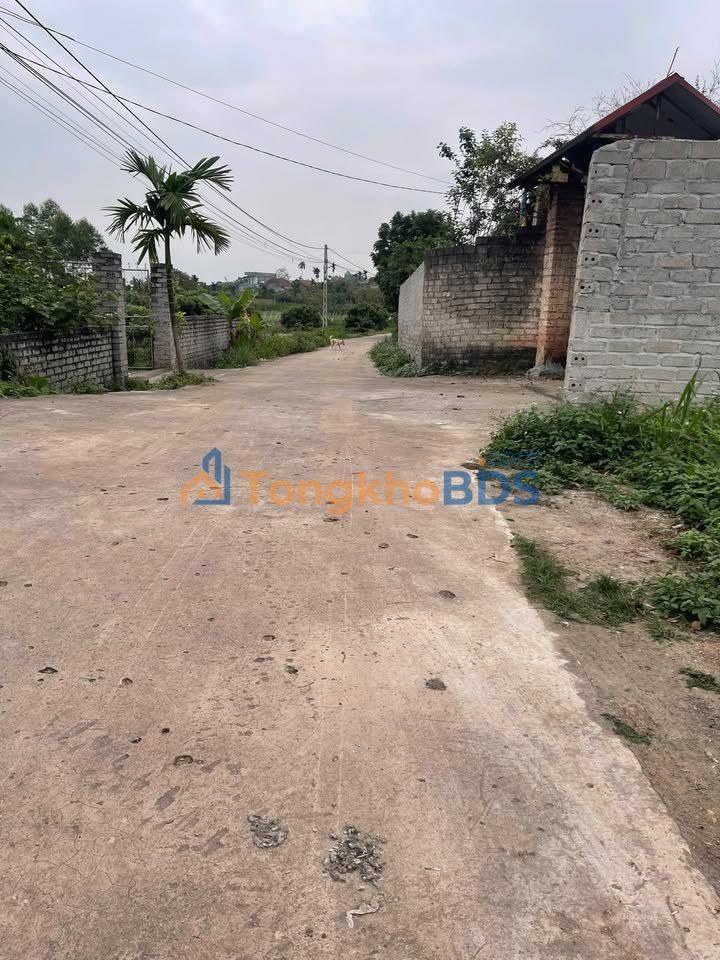 Bán 2 Lô Đất Full Thổ Cư Nhã Nam, Tân Yên - 120m², Sổ Đỏ Sẵn Sàng