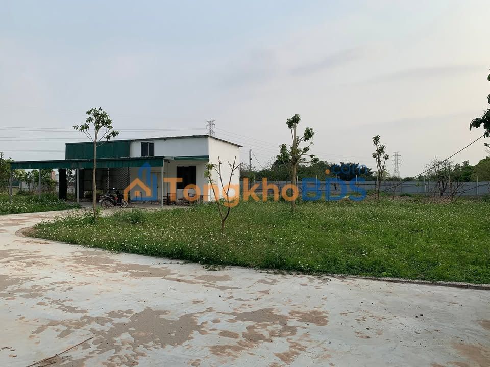 Bán trang trại sinh thái 1572m² Quốc Oai - Sổ hồng riêng, 2 mặt đường ô tô