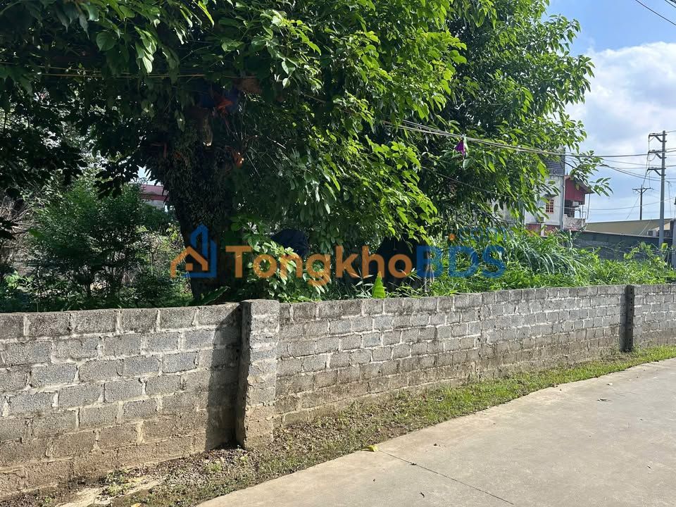 Bán đất Thủy Xuân Tiên, Chương Mỹ 339m² - Sổ đỏ chính chủ, 20m mặt tiền