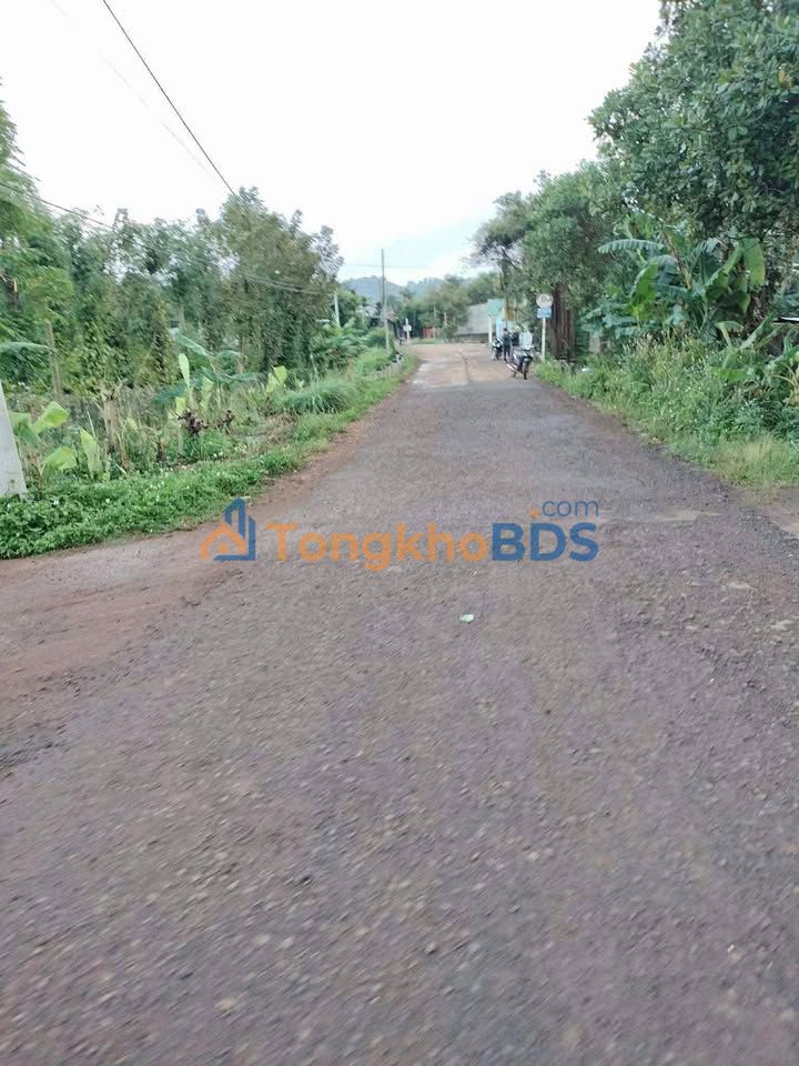 Bán Đất 2 Mặt Tiền 47000m² Xã Hòa Khánh, TP. BMT - Giá 7 Tỷ