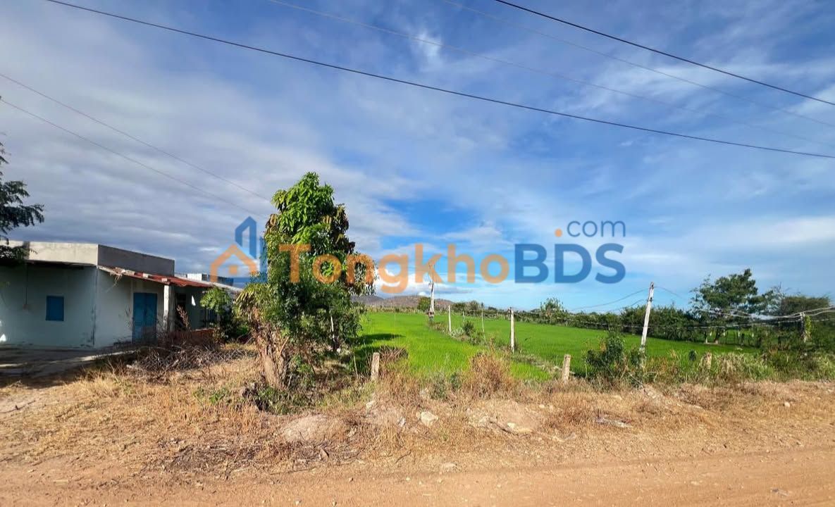 Bán Đất Vườn 5000m² Mặt Tiền Rộng 40m - Sổ Đỏ Sẵn Sàng Tại Phú Lạc, Bình Thuận