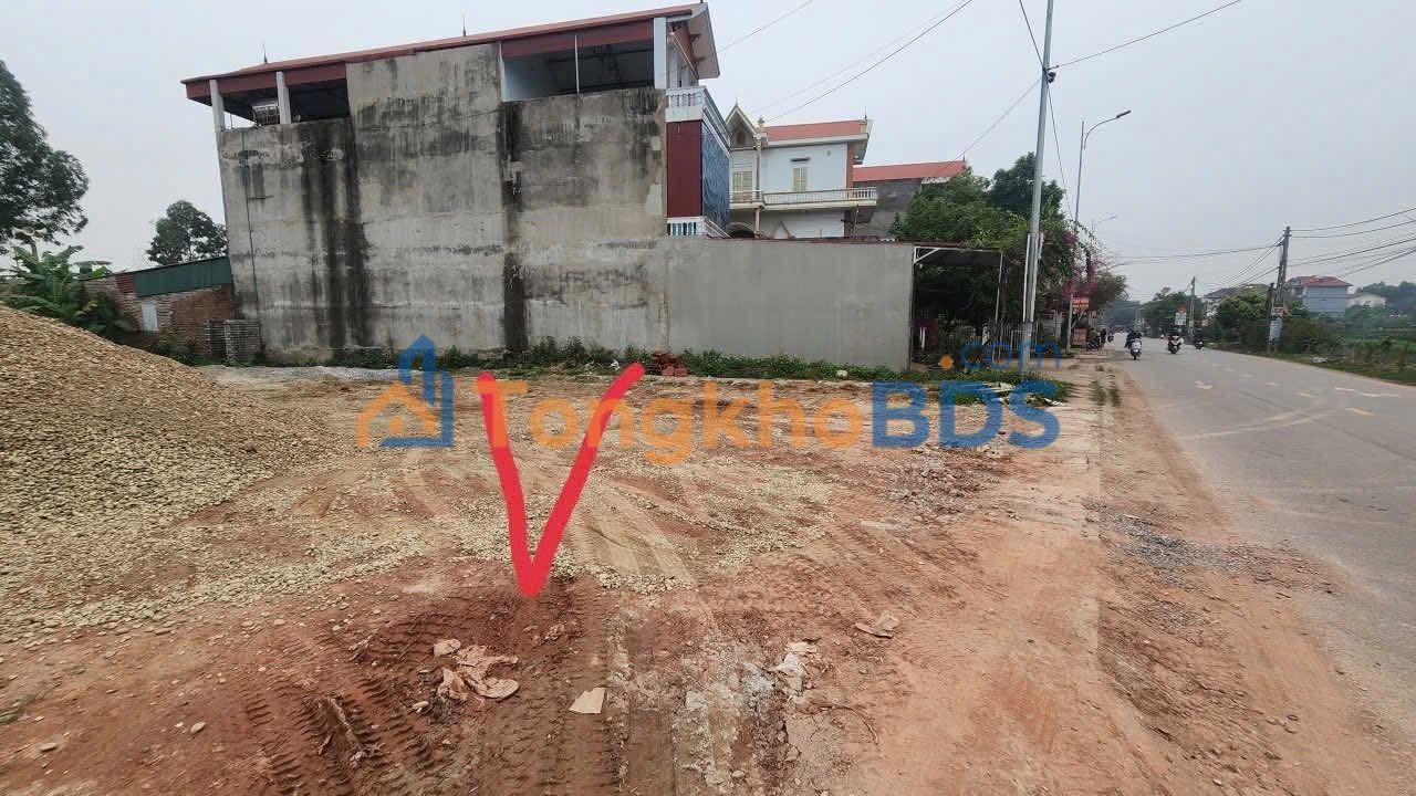 Đất Lục Nam, Bắc Giang: Mặt tiền TL295 81m² - Kinh doanh/Đầu tư đắc lợi