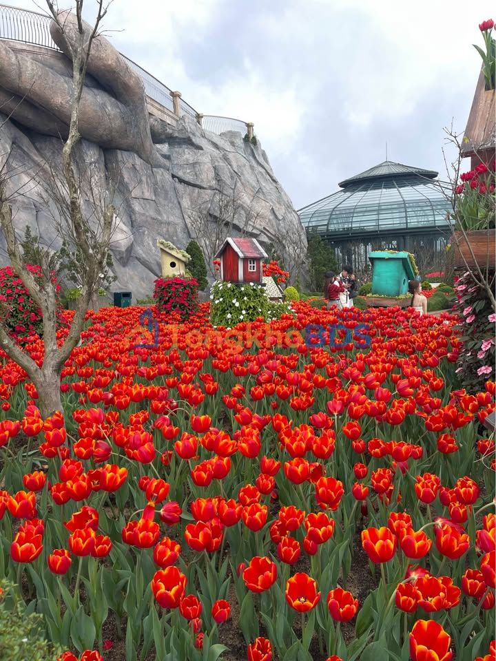 Nhà Gác Lửng 70m² Kiệt Ngô Quyền, Sơn Trà - Giá 4.5 Tỷ