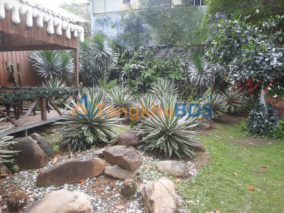 Đất nền Trưng Nữ Vương 77m² 5,5 tỷ - Sổ đỏ chính chủ