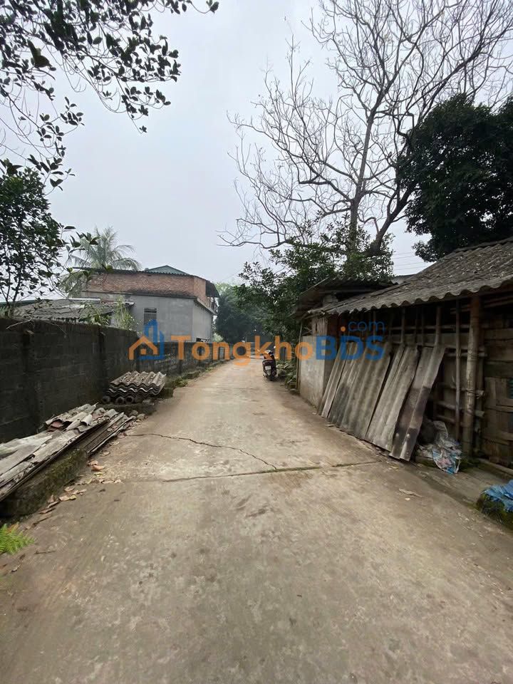 Đất nền 146m² 2 mặt ngõ, Tân Hoà, Phú Thọ - Sổ hồng thổ cư, giá đầu tư!