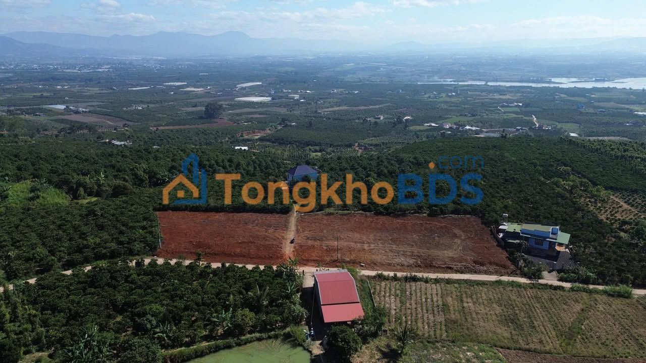 Đất Nền 72m² Đinh Văn, Lâm Hà - Nở Hậu 8m, Sổ Đỏ Sẵn Sàng