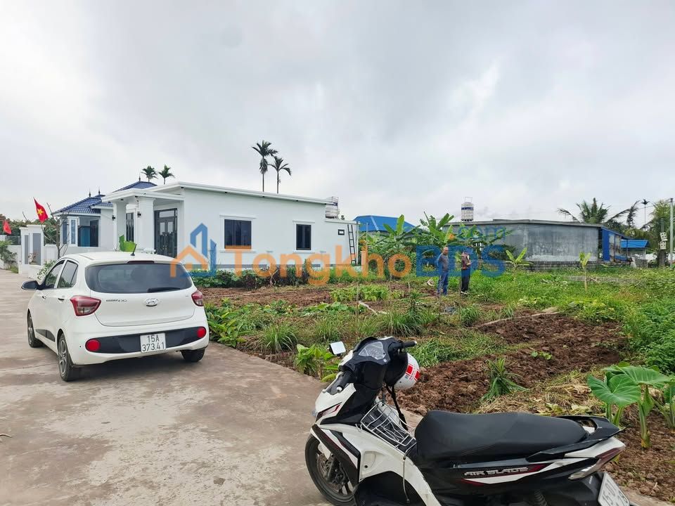 Đất Nền An Lão, Hải Phòng 65m² - Sổ Đỏ Sẵn Sàng - Đầu Tư Sinh Lời