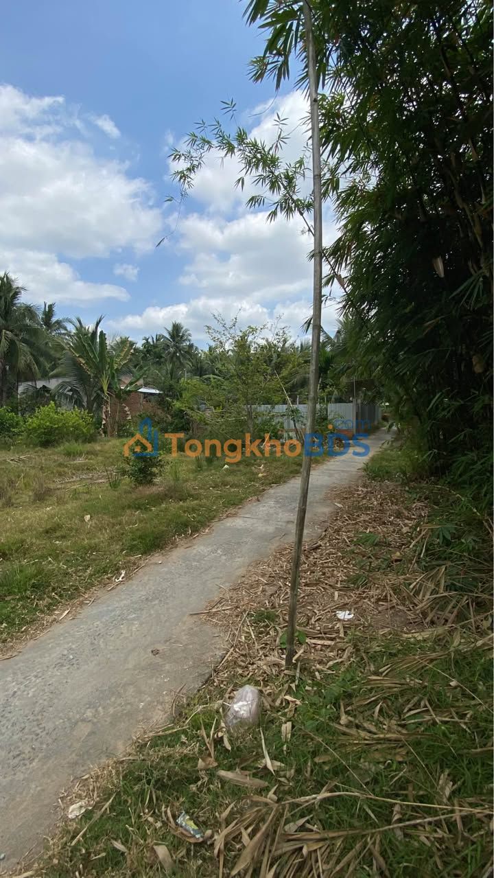 Bán Đất Vườn 1000m² Xã Phú Nhuận, Bến Tre - Giá 850 Triệu